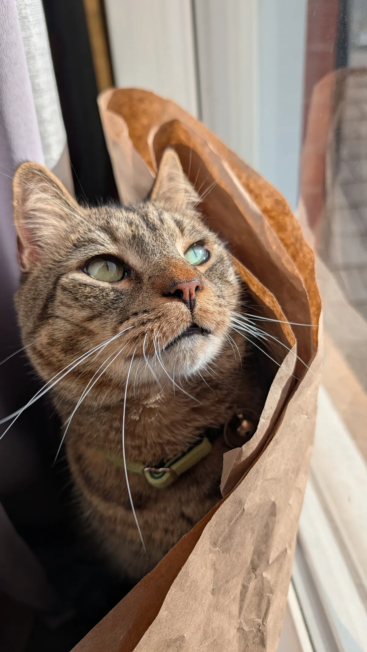 012: Misery loves company